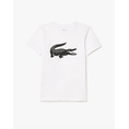 Product LACOSTE SS TEE-SHIRT thumbnail image
