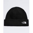 Product THE NORTH FACE SALTY LINED BEANIE thumbnail image