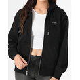 Product CALVIN KLEIN MONOLOGO FRENCH TERRY FZ BF HOOD thumbnail image