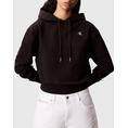 Product CALVIN KLEIN LS ARCHIVE TERRY PO HOOD thumbnail image
