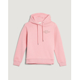 Product GANT ΦΟΥΤΕΡ ΜΜ REG TONAL SHIELD HOODIE thumbnail image