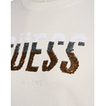 Product GUESS SS CN LAYLA BOXY LOGO SWTR ΠΛΕΚΤΟ ΓΥΝΑΙΚΕΙΟ thumbnail image