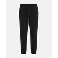 Product GUESS JEANS GJ TRIANGLE LABEL JOGGER ΠΑΝΤΕΛΟΝΙ ΓΥΝΑΙΚΕΙΟ thumbnail image