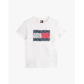 Product TOMMY JEANS TJW REG FLORAL FLAG TEE thumbnail image