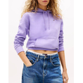 Product TOMMY JEANS TJW REG S FLAG HOODIE thumbnail image