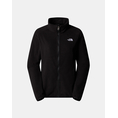 Product THE NORTH FACE W EVOLVE II TRI JKT thumbnail image