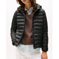Product TOMMY HILFIGER LW PADDED GLOBAL STRIPE JACKET thumbnail image