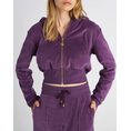 Product SUGARFREE ZAKETA thumbnail image