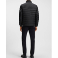 Product BOSS Oden2 10239121 01 thumbnail image