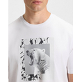 Product BOSS Te_lupo 10276582 01 thumbnail image