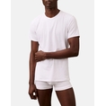 Product CALVIN KLEIN S/S CREW NECK 3PK thumbnail image