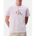 Product CALVIN KLEIN SS 20s CK PRIDE25 GRAPHIC TEE thumbnail image