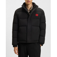 Product HUGO Balto2541 10274774 01 thumbnail image