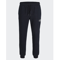 Product JACK&JONES JPSTGORDON MAKOTO SWEAT PANTS thumbnail image