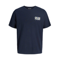 Product JACK&JONES JJGEPLAS TEE SS CREW NECK LN thumbnail image