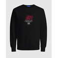 Product JACK&JONES JCOSCRIPTURE SWEAT CREW NECK FST thumbnail image
