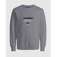 Product JACK&JONES JCOSCRIPTURE SWEAT CREW NECK FST thumbnail image