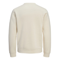 Product JACK&JONES JORINWOOD SWEAT CREW NECK FST thumbnail image
