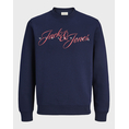 Product JACK&JONES JORINWOOD SWEAT CREW NECK FST thumbnail image