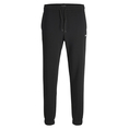 Product JJREBEL JREBGORM REG REBEL LOGO SWEAT PANTS NOOS thumbnail image