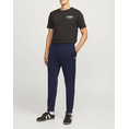 Product JJREBEL JREBGORM REG REBEL LOGO SWEAT PANTS NOOS thumbnail image
