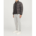 Product JJREBEL JREBGORM REG REBEL LOGO SWEAT PANTS NOOS thumbnail image