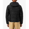 Product LACOSTE BLOUSON JACKET thumbnail image