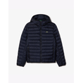 Product LACOSTE BLOUSON JACKET thumbnail image