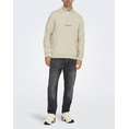 Product ONLY&SONS ONSCURATED REG HALF ZIP SWEAT NOOS thumbnail image