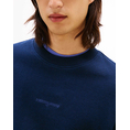 Product TOMMY JEANS TJM RLX WAFFLE SCRIPT CREW thumbnail image
