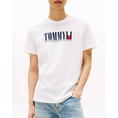 Product TOMMY JEANS TJM REG TOMMY DNA FLAG TEE EXT thumbnail image