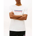 Product TOMMY JEANS TJM REG DNA TEE EXT thumbnail image