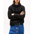 Product TOMMY JEANS TJM REG LINEAR LOGO HOODIE EXT thumbnail image