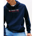Product TOMMY JEANS TJM REG DNA HOODIE EXT thumbnail image