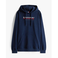 Product TOMMY JEANS TJM REG DNA HOODIE EXT thumbnail image