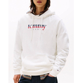 Product TOMMY JEANS TJM REG DNA HOODIE EXT thumbnail image