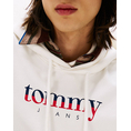 Product TOMMY JEANS TJM REG DNA HOODIE EXT thumbnail image
