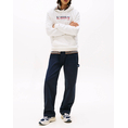 Product TOMMY JEANS TJM REG DNA HOODIE EXT thumbnail image