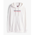 Product TOMMY JEANS TJM REG DNA HOODIE EXT thumbnail image