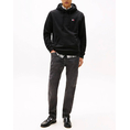 Product TOMMY JEANS TJM REG BADGE HOODIE EXT thumbnail image