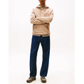 Product TOMMY JEANS TJM REG BADGE HOODIE EXT thumbnail image