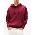Product TOMMY JEANS TJM REG S FLAG HOODIE thumbnail image