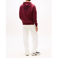 Product TOMMY JEANS TJM REG S FLAG HOODIE thumbnail image