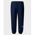 Product THE NORTH FACE M SD RG TP JOGGER thumbnail image