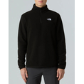 Product THE NORTH FACE M GLCR FLC 1/4 ZIP JKT thumbnail image