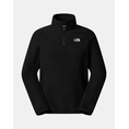 Product THE NORTH FACE M GLCR FLC 1/4 ZIP JKT thumbnail image