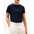 Product TOMMY HILFIGER TOMMY LOGO TIPPED TEE thumbnail image