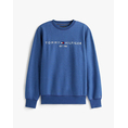 Product TOMMY HILFIGER TOMMY LOGO SWEATSHIRT thumbnail image