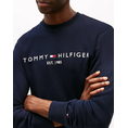 Product TOMMY HILFIGER TOMMY LOGO SWEATSHIRT thumbnail image