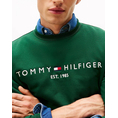 Product TOMMY HILFIGER TOMMY LOGO SWEATSHIRT thumbnail image